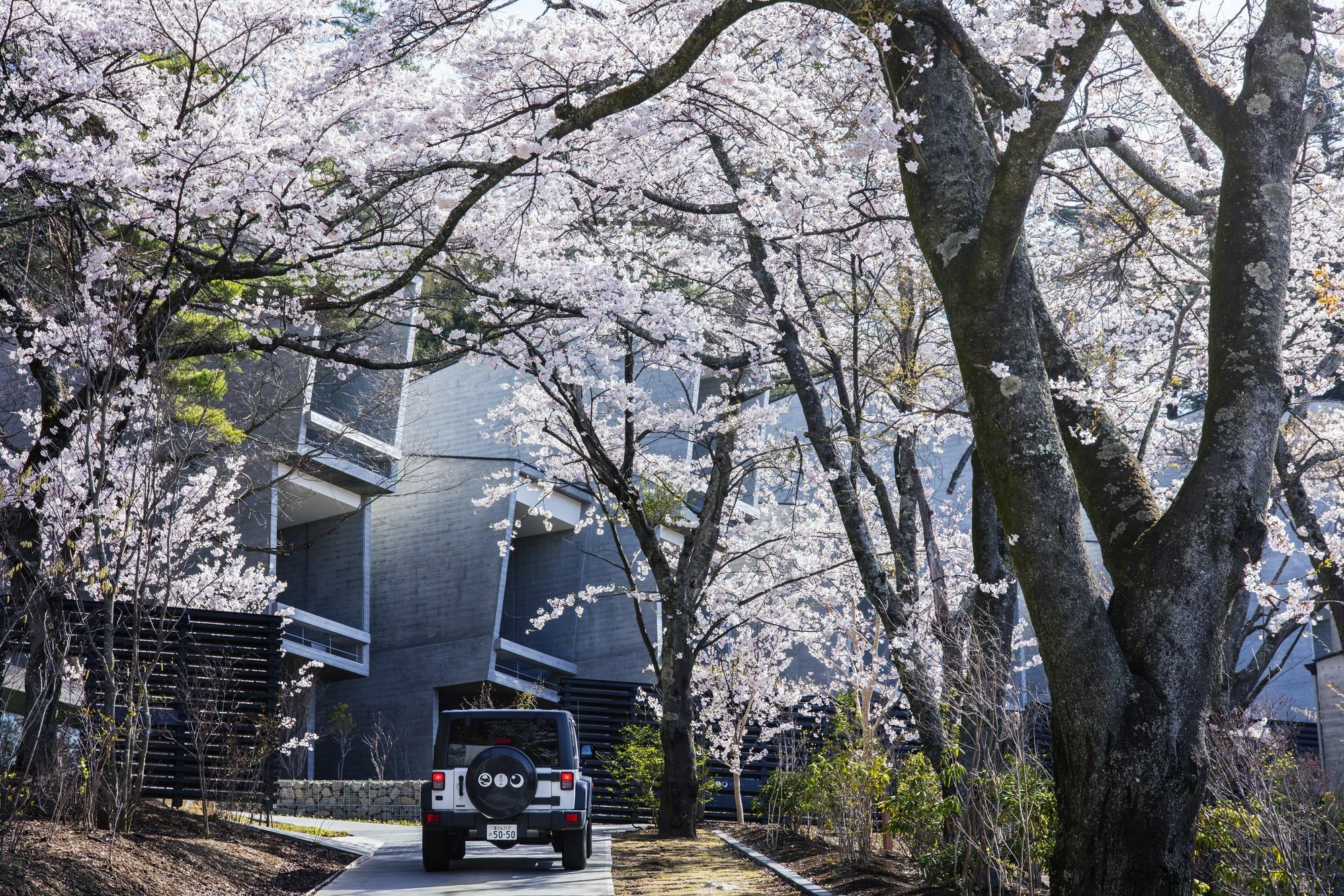 فندق Hoshinoya Fuji فوجيكاواجوتشيكو المظهر الخارجي الصورة